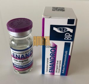 Testosterone E 250mg 10ml Balkan