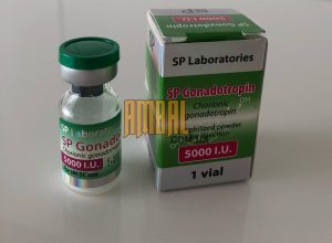 SP Gonadotropin 5000