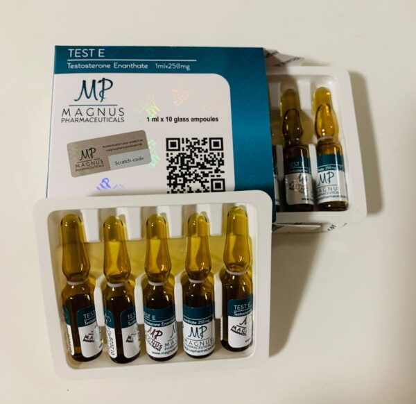 TEST ENANTHATE 1ml 250mg Magnus